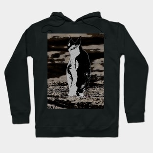 Pinguin Hoodie